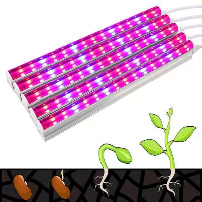 China Plant Plant Growth Led To Grow Lamp Indoor Plant Growth Light Growing Lighting Led Strip Lights For Plant Growth for sale