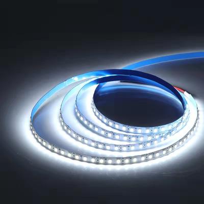 China Garden Led Strip Lights 12V24V Low Voltage Waterproof Led Strip Light for sale