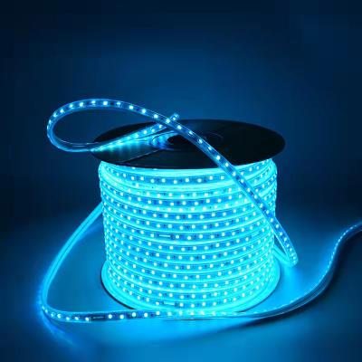 China Flexible Garden LED Patch 12V Light Strip Led Strip Lights Strip Led Waterproof Light for sale