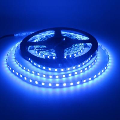 China Cheap Outdoor Garden Decoration RGB 2835 Waterproof Led Strip Neon Light Flexible Strip for sale