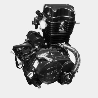 China 250CC Water Cooled Water Cooled Engine For Auto Motor Tricycle Motor Assembly Clutch Motor for sale