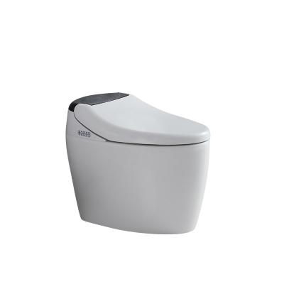 China Modern European Intelligent Toilet One Piece Bidet Style Smart Toilet For Hotel for sale