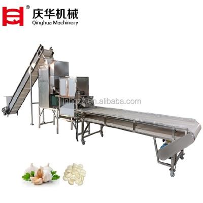 China Factory Best Service Complete Brush Garlic Practical Industrial Washing Machine for sale