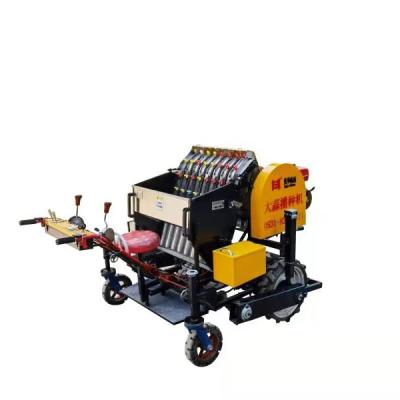 China Easy Operation Automatic Agriculture Garlic Planting Seeder Machine Precision Garlic Planter à venda