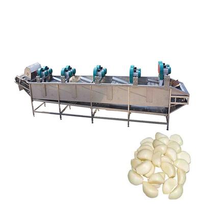 China 2-3t Hotels Hot Sale Stainless304 Blow Water Customizzed Garlic Processing Line Drier for sale