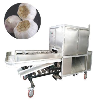 China Hot Hotels Concave / Planar / Root Garlic Cutting Machine March Expo Sale for sale