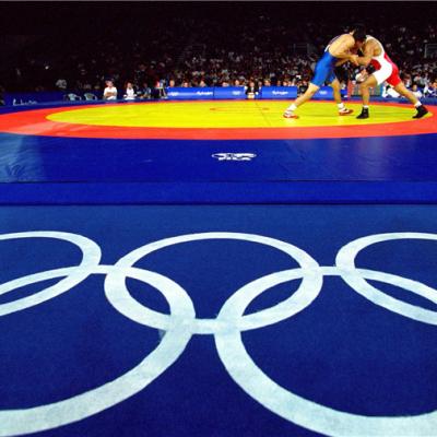 China Velcro For Free 12m*12m*5cm / 6cm With Hollow Circle 1m Wide Standard Wrestling Mat Area for sale