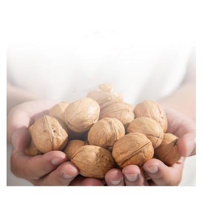 China Xinjiang Dry Walnut Price Chinese Wholesale Walnuts In Shell for sale