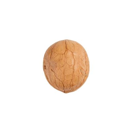 China Tree kilo cheap price seed purchase nuez dry raw nut nuts for sale