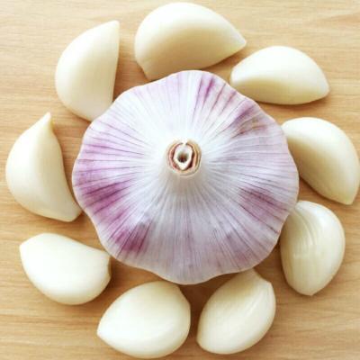 China 2021 Wholesale Price of New Cultured China Garlic Distributor Fresh White Chinese Garlic for sale