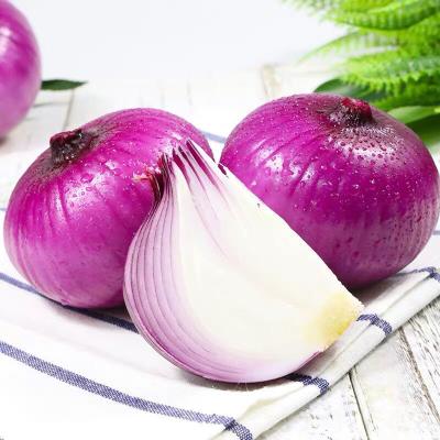 China Bulk organic fresh onion cheap red/yellow onions for sale for sale