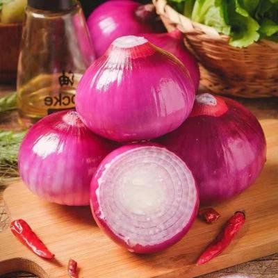 China New Quality Cultivation Of Organic Fresh Yellow Onion Vegetables For Wholes for sale