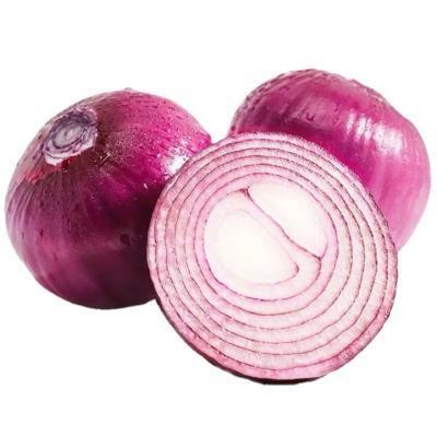 China Price of organic fresh white onion and red onion for sale