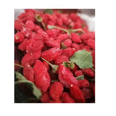 China High Quality Wholesale New Crop Dry Organic Goji Berries for sale