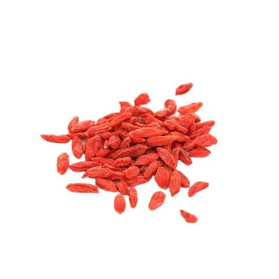 China Organic Dried Chinese Red Wolfberry Goji Lycium 100% Pure Natural Fresh Berry for sale