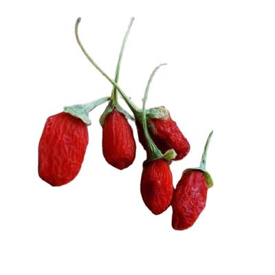 China 100% Pure High Quality Natural Dry Organic Chinese Fresh Dried Goji Berries for sale