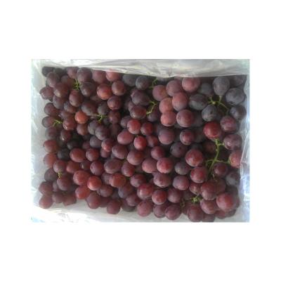 China Xinjiang Table Globe Grape Chinese Fresh Delicious Red Wine Grapes for sale