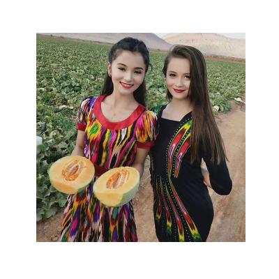 China Xinjiang fresh available new product soft cantaloupe hami melon for sale