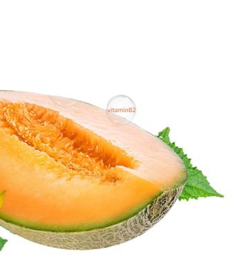 China Xinjinag fresh new product export hami melon fresh delicious melon for sale