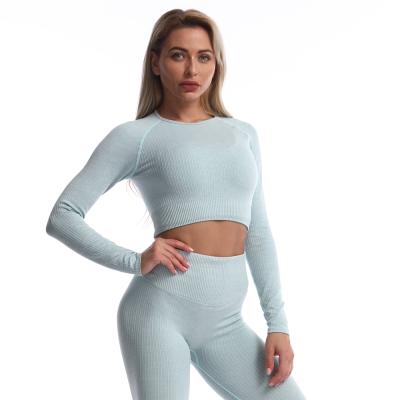 China Quality Semaless Sole Yoga Breathable Guaranteed Long Sleeve Top Frame Long Sleeve Yoga for sale