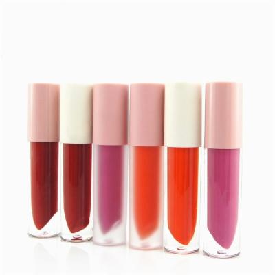 China Eco - Friendly Lip Gloss Tube Empty Gloss Lip Packaging Containers Packaging Containers for sale