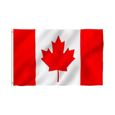 China Sale Mordern New Canada Luxury Well Type Official Event Support Polyester Fabric National Flag for sale