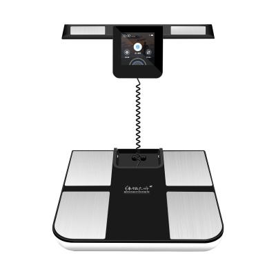 China Viable High End Measuring Digital Composition App Check Body Fat Analyzer In 2022 Premium for sale