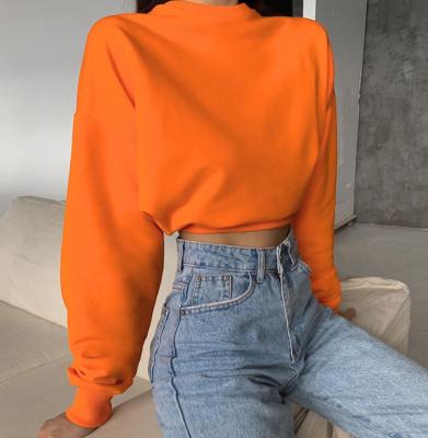 China New Style Breathable Pure Leisure New Style Breathable Hoodie Navel Crop Color Z0159 Blouse for sale