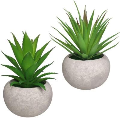 China 2 Pack Artificial Succulent Plants Potted Faux Green Aloe Grass Decoration Mini Artificial Succulent Plants for sale