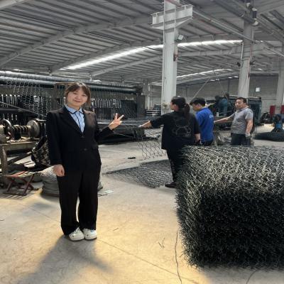 Китай Подгонянная гальванизированная ячеистая сеть для коробки Gabion защиты продается