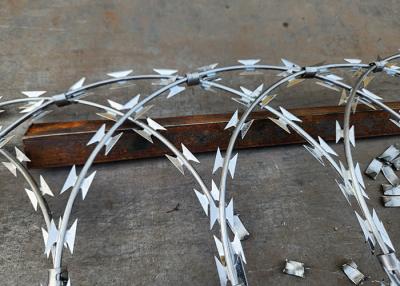 China National Boundaries Used Wall Razor Barbed Wire For Prevent Climbing for sale