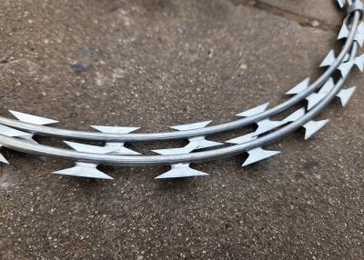 China Hot-Dipped Galvanised Razor Barbed Wire with Crossed Loop for High Protection for sale