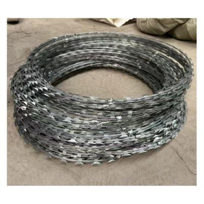 China Hot Dipped Galvanized Razor Blade Barbed Wire Bto-22 Concertina Double Strand Razor Wire Mesh for sale