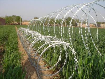 China Secure Your Property with Razor Barbed Wire razor wire bto-10 Military and Private for sale