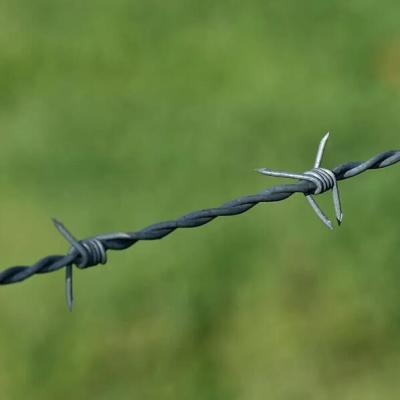 China vedação de segurança de arame farpado vedação galvanizada com lâmina de arame farpado barbante arame farpado arames galvanizados de plástico arame farpado vedação agrícola barbante arame farpado rolha de vedação à venda