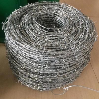 China high tensile barbed wire mesh fence electrical barbed wire 125 gauge barbed wire 10kg barbed wire price in bangladesh aluminum alloy barbed wire guard theft for sale