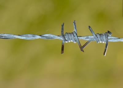 China Use Of Prison Walls Double Twisted PVC Coated /Galvanized Barbed Wire Coils for sale