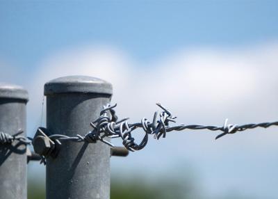 China Use Of Prison Walls Length 200m  Single Strand Hot Dipped Galvanized Barbed Wire for sale