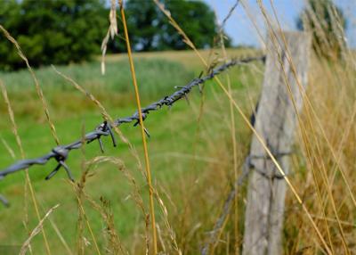 China Rust Resistance Double Strand Traditional Twist Barbed Wire Fence for sale