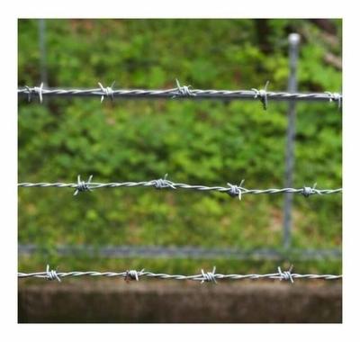 China Spiral Barbed Wire Defensive Galvanized Barbed Wire Installation Security Fence for sale