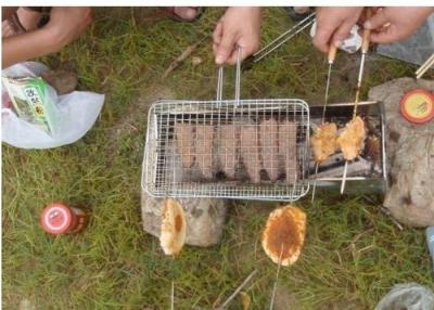 China Malla de alambre portátil de la parrilla de la barbacoa, red al aire libre de la parrilla de la barbacoa para los pescados de la carne asada en venta