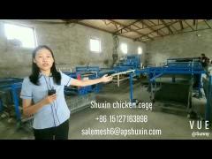 Poultry Chicken 3 / 4 Layers Cage Automatic Galvanized Battery Hen Layer Chicken Cage In Mexico