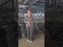 Invisible Wire Mesh Workshop Show