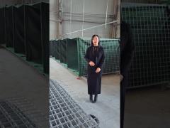 Defensive Barrier Model 10 - Close-up Explanation