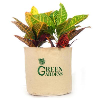 China Grocery Jute Planting Bags Jute Plant Pot Grow Sack Jute Fabric Flower Plant Grow Sack for sale