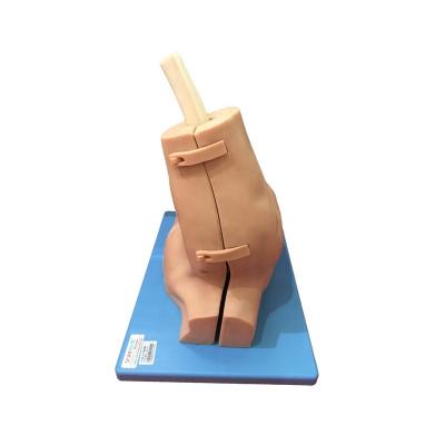 China GD/LV77 Hospital General Doctor Advanced Shoulder Arthroscopy Model Skill Trainer for sale