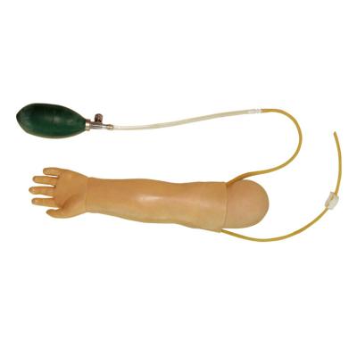 China General Hospitals Doctor Infant Left Arm Model With Radial Artery For Schools Puncture Training for sale