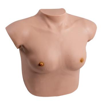 China Skin Contact GD/F7C Realistic Medical Breast Model General Doctor Breast Examination Model For Teaching for sale