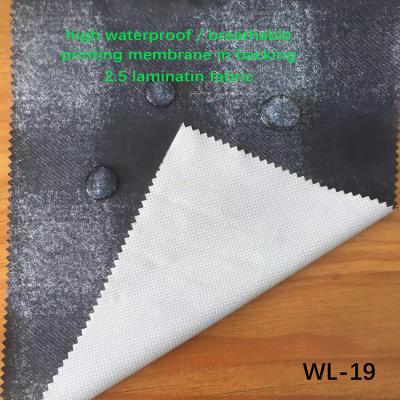 China Waterproof W-19, Micro Fibre Peach Skin Fabric bond membrane printing in backing with high quality lowest price for sale