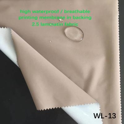 China Waterproof WL-13, Ristop nylon  lamination fabric printing in backing for casual wear for sale